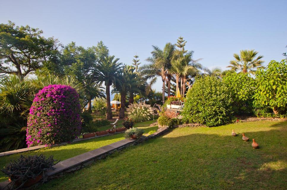 Finca Casa Vieja Hotell Santa Úrsula Exteriör bild